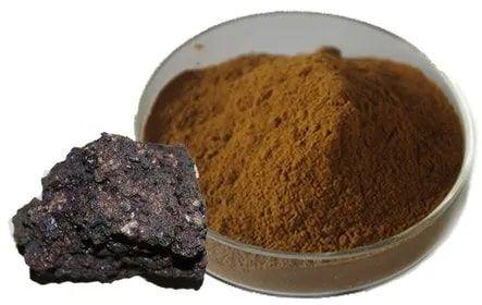 Shilajit Extract