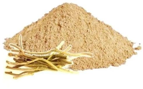 Tinospora Cordifolia Root Extract, for Medicinal, Form : Powder