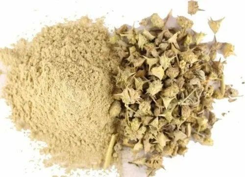 Tribulus Terrestris Extract