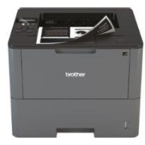Brother Printer (HL-L6200DW)