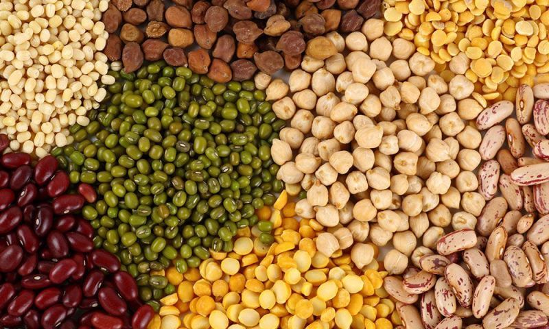 Natural Indian Pulses, For Cooking, Certification : Fssai Certified