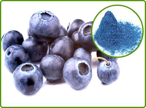 Blueberry Extract