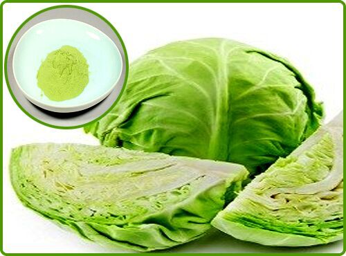 CABBAGE EXTRACT