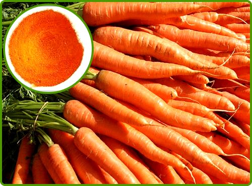 Carrot extract powder