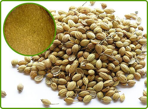 Coriander Powder