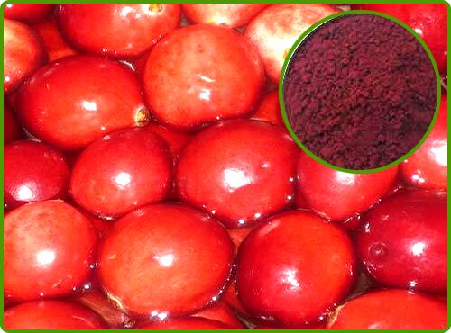Cranberry Extract, Form : Powder