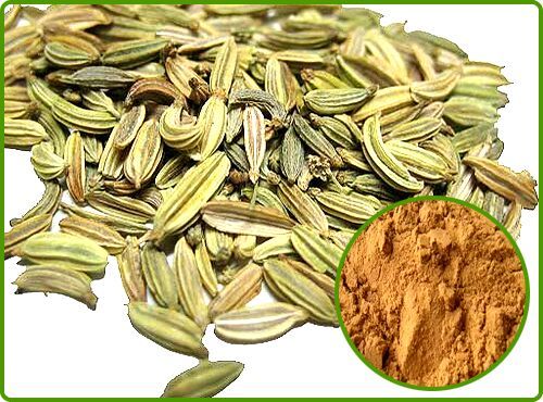 Fennel Extract