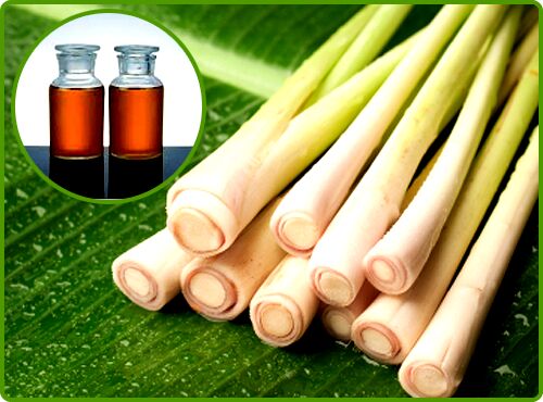 Lemon Grass oil, for Skin Care/Body care/Hair Care