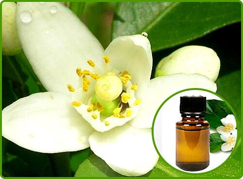 Neroli Oil