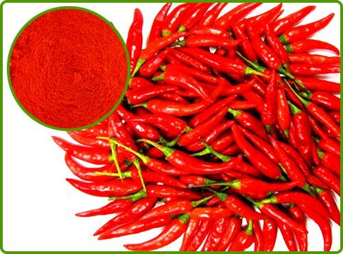 Red Chilli Sauce