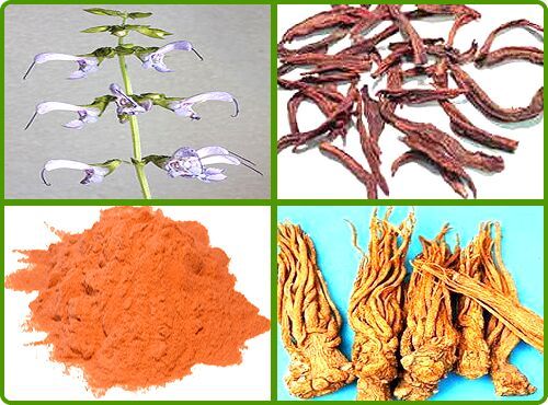 SALVIA RADIX EXTRACT