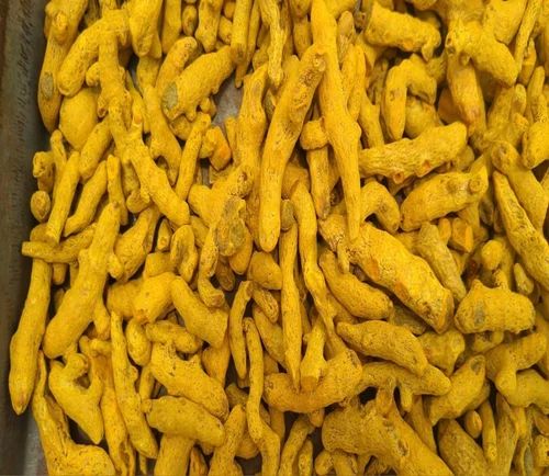 Whole Double Polished Turmeric Finger, for Cooking, Spices, Shelf Life : 6 Months
