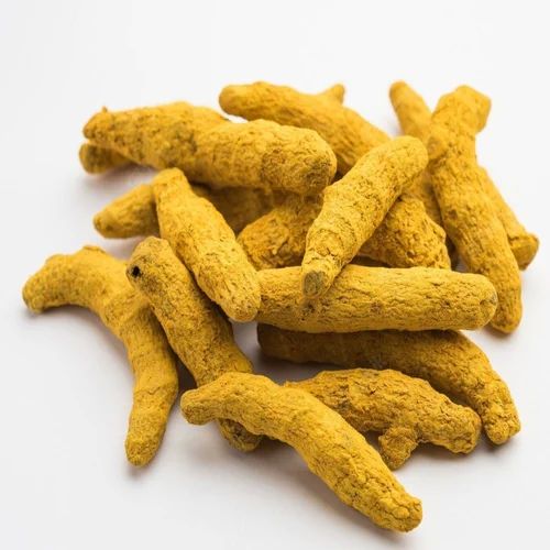 Yellow Indian Turmeric Finger, for Cooking, Spices, Shelf Life : 6 Months