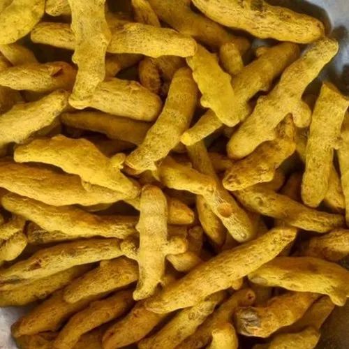 Yellow Whole Polished Turmeric Finger, for Cooking, Spices, Packaging Type : PP Bags