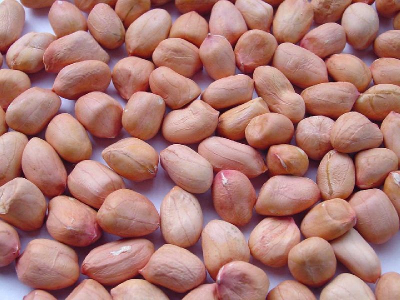 Organic HPS Groundnut Seeds, for Cooking, Snacks, Color : Creamy