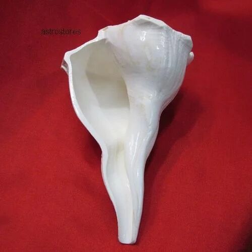 White Marble Ganesh Dakshinavarti Shankh, For Temple, Packaging Type : Box