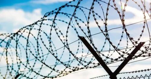 Stainless Steel Barbed Wire, Surface Treatment : Galvanized