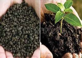 Organic Bio Fertilizer, for Agriculture