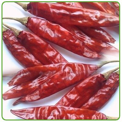 Red Chilli Sauce, Color : 90 - 100 ASTA