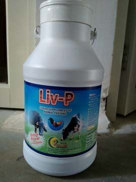 LIV-P Calcium Suspension Liquid Feed Supplement