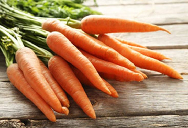 Red Organic Fresh Carrot, for Food, Juice, Pickle, Snacks