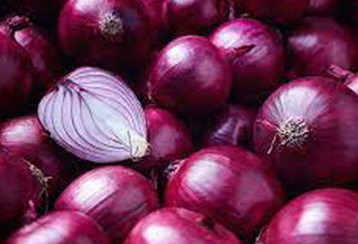 Organic Fresh Red Onion, for Cooking, Packaging Size : 20 Kg