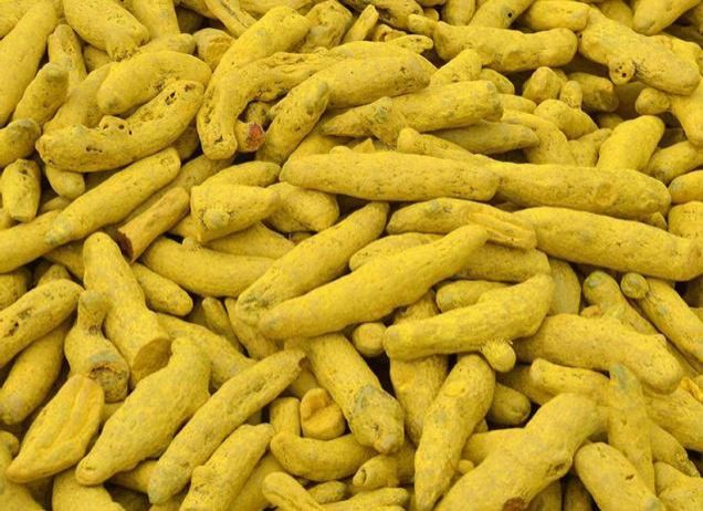 Light Yellow Turmeric Finger, for Cooking, Spices, Grade Standard : Food Grade
