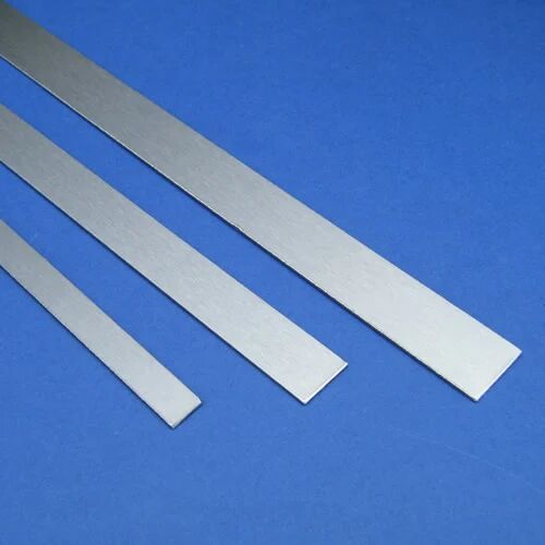 Stainless Steel Strips, for Industrial