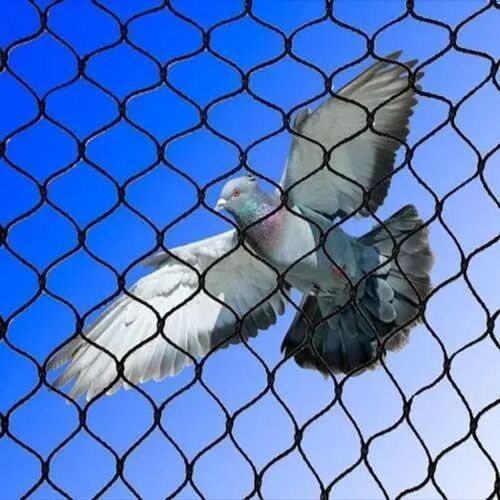 HDPE Bird Protection Netting, Color : Black