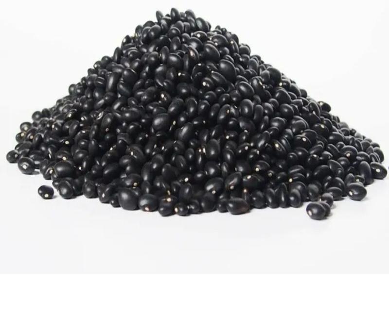 high quality organic black kidney beans