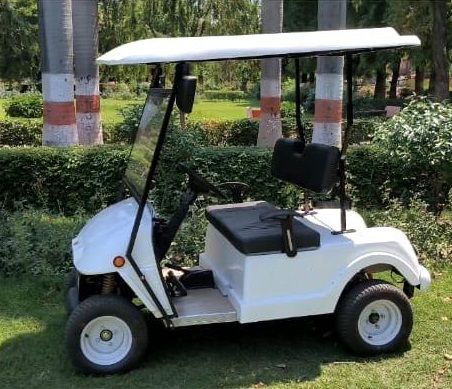 White American Eagle 2 Seater Golf Cart