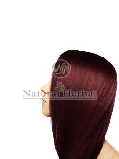 Chestnut Hair Color Form : Powder Packaging Size : 10gm 40gm 100gm