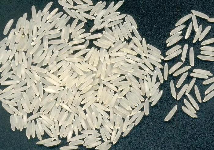 Common Hard non parboiled rice, Color : White