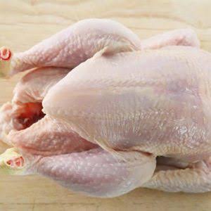 Frozen Chicken, Packaging Type : Plastic Bag