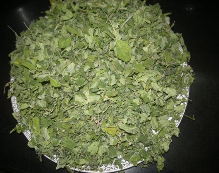 Green Common Moringa Dried Leaf, for Medicine, Cosmetics