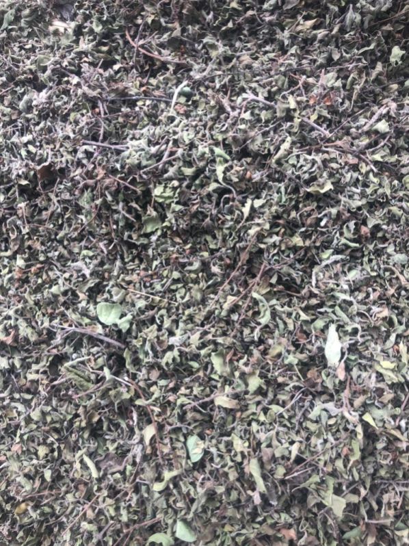 Organic Tulsi Leaves, For Medicinal