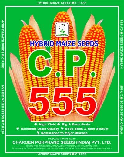 C.P. 555 Hybrid Maize Seeds, Packaging Type : PP Bag