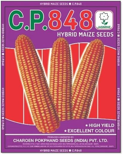 C.P. 848 Hybrid Maize Seeds, Packaging Type : PP Bag