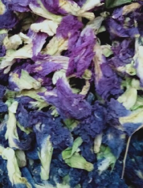 butterfly pea flower