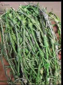 Bio Hazard Wicked Wire