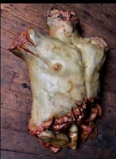 Tales Rotten Torso Prop