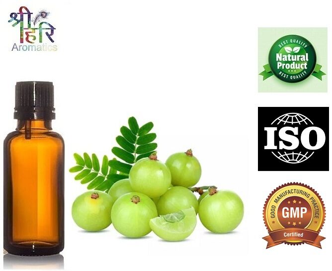 Amla Oil, Certification : MSDA, COA, ISO, GMP