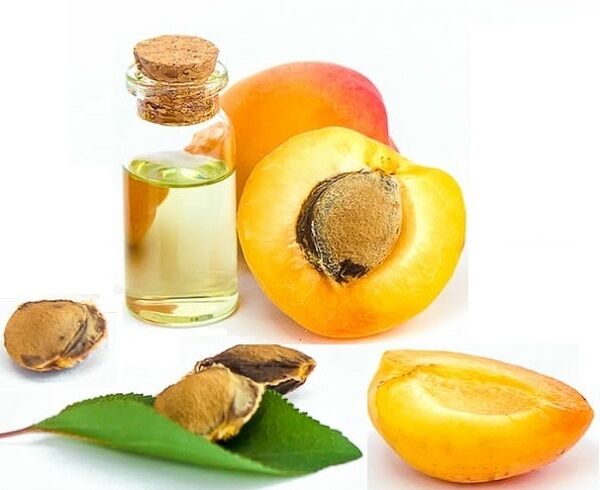 Apricot Oil, Purity : 100% Pure Natural