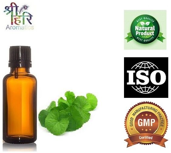 BRAHMI OIL, Purity : 100% Pure Natural