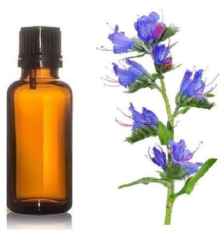 ECHIUM SEED OIL