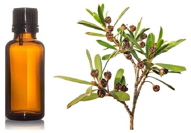 KUNZEA ESSENTIAL OIL