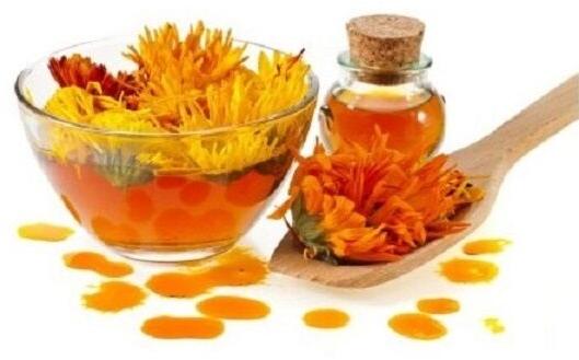 MARIGOLD FLOWER OIL, Purity : 100% Pure Natural