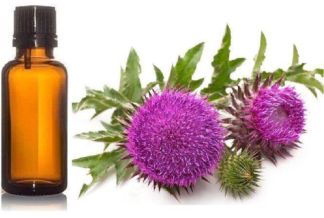 MILK THISTLE SEED OIL, Purity : 100% Pure Natural