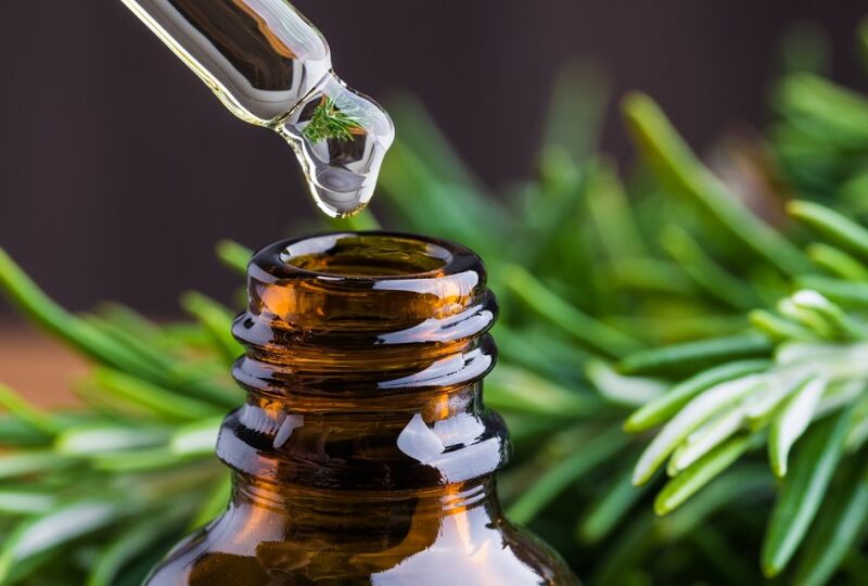 Rosemary oil, Purity : 100% Pure Natural