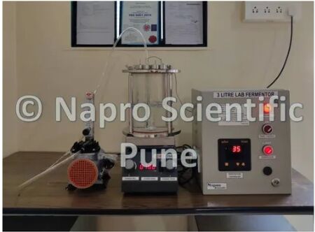 Napro Automatic Borosil Glass Laboratory Bioreactor
